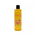 Pet Naturals of Vermont Protect Flea Shampoo - 16 oz
