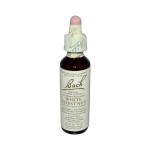 Bach Flower Remedies Essence White Chestnut - 0.7 fl oz