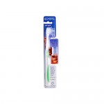 Terradent 31 Toothbrush + Refill Medium - 1 Toothbrush - Case of 6