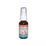 Herbs For Kids Super Kid´s Throat Spray Peppermint - 1 fl oz
