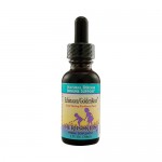 Herbs For Kids Echinacea GoldenRoot Blackberry - 1 fl oz