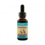 Herbs For Kids Echinacea Astragalus - 1 fl oz