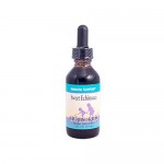 Herbs For Kids Sweet Echinacea - 2 fl oz