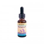 Herbs For Kids Willow and Garlic Ear Oil - 1 fl oz