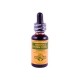 Herb Pharm Nervous System Tonic Compound Liquid Herbal Extract - 1 fl oz