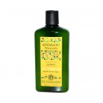 Andalou Naturals Brilliant Shine Shampoo Sunflower and Citrus - 11.5 fl oz